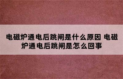 电磁炉通电后跳闸是什么原因 电磁炉通电后跳闸是怎么回事